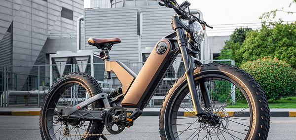 FAQs about Fat Tire E-Bikes: A Dive Into