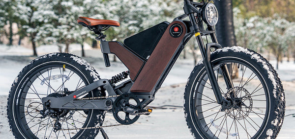 Electric Bike Revolution: Market Overview, Usage, and Purchase Guide