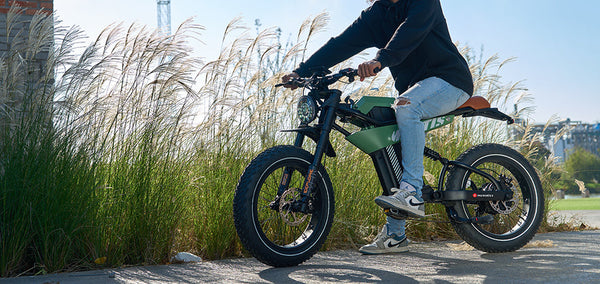 Exploring Adult Electric Bicycles for Efficiency and Adventure: The MANTIS-P6