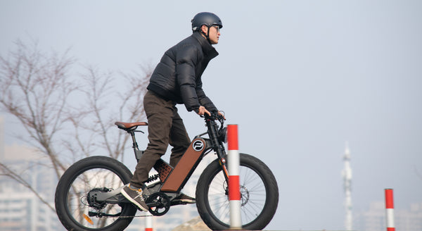 Who is the target market for Ebikes