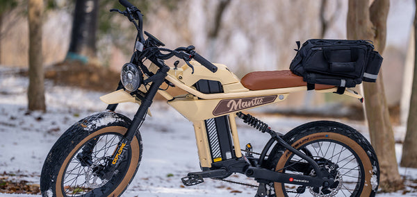 Power and Precision: Unveiling the MANTIS-P6 1000W Electric Bike