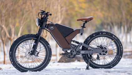 Antelope P5-A: Powering Your Adventure with Long-Range Electric Cycling