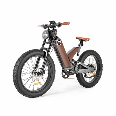 electric mountain bicycle