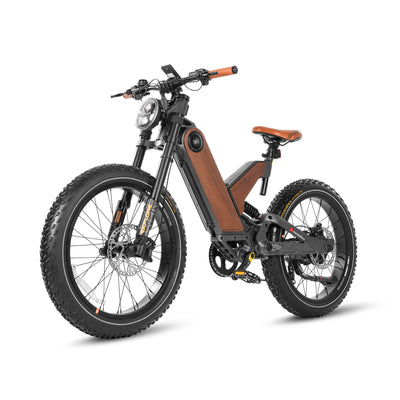 All Terrain Fat Tire Electric Hybrid Mountain Bikes