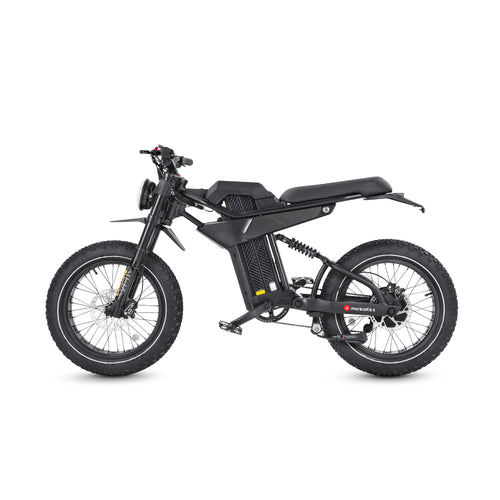 electric bikes for adults