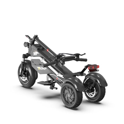 500W*2 Dual Motor Three Wheel Electric Scooter