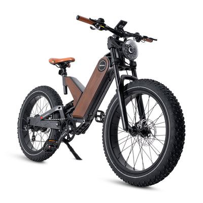 All Terrain Fat Tire Electric Hybrid Mountain Bikes