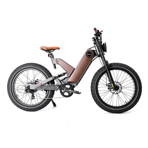 All Terrain Fat Tire Electric Hybrid Mountain Bikes