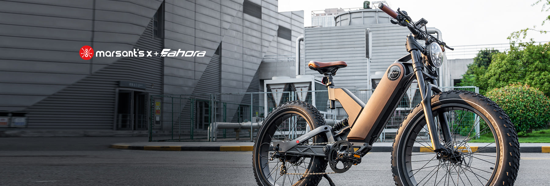 Long Range Electric Bike