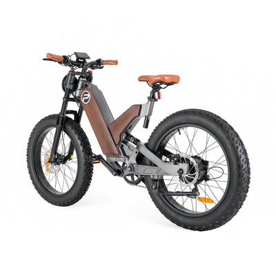 fat tire ebike