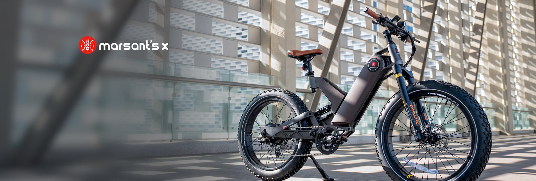 marsants'x ANT5 Long Range Electric Bike