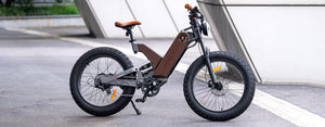 marsants'x ANTELOPE-P5-24*4.0 " fat tire electric bike 