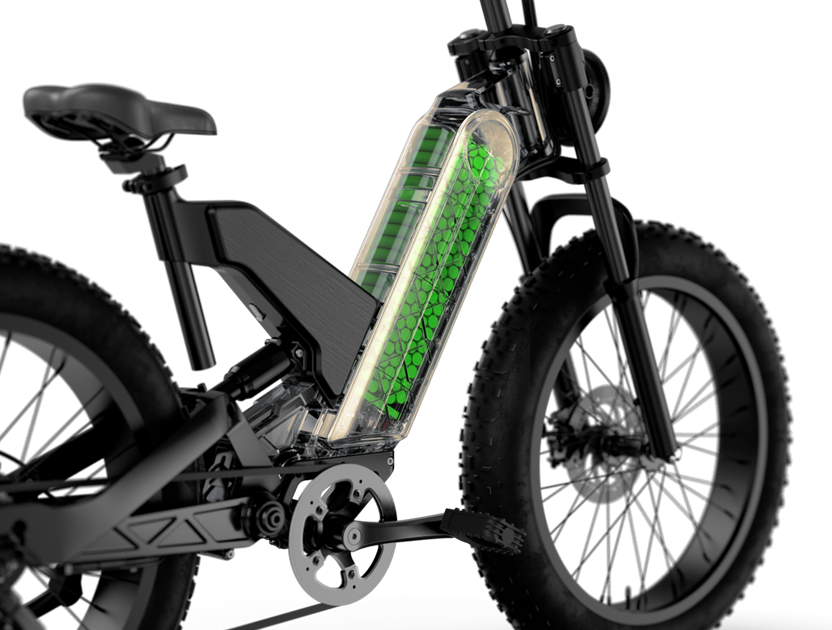 electric bikes for adults